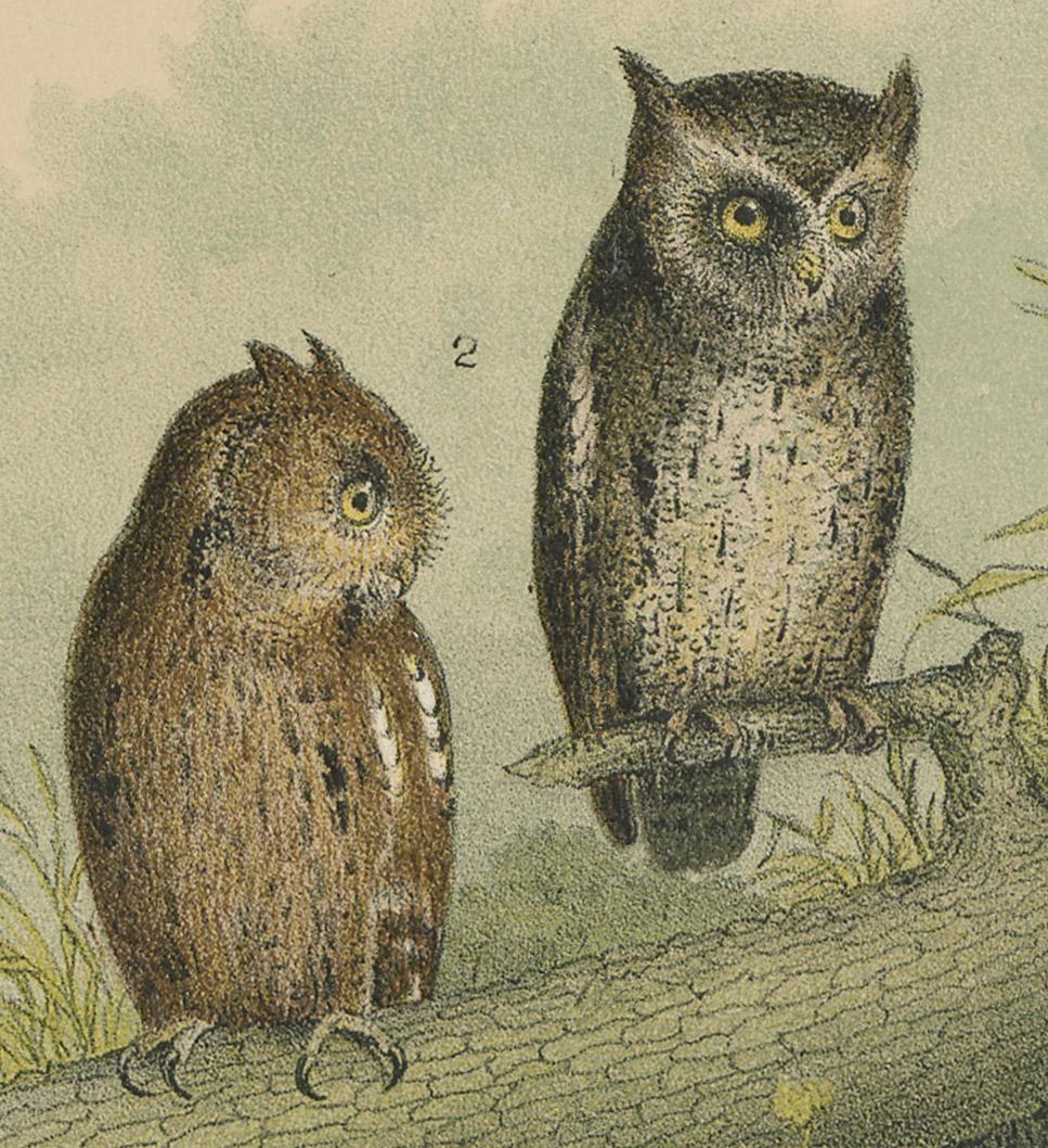 1983.0513.003 Print, detail 3