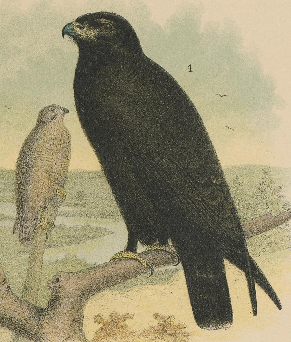 1983.0513.003 Print, detail 5