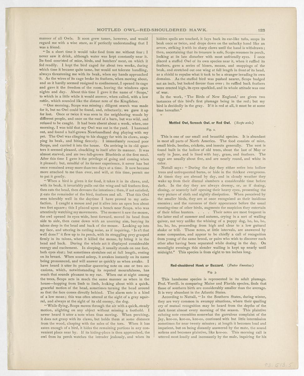 1983.0513.005 Print