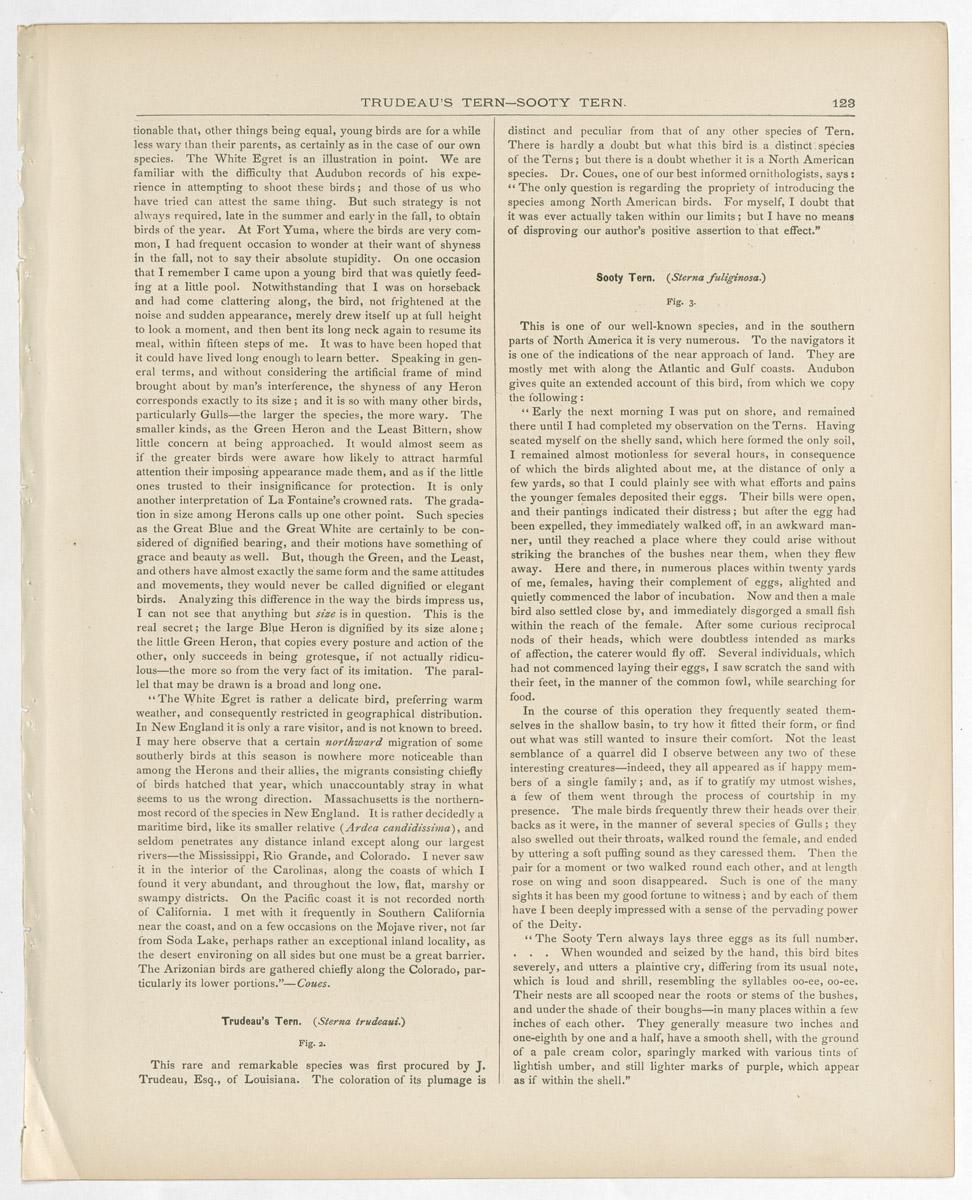 1983.0513.004 Print