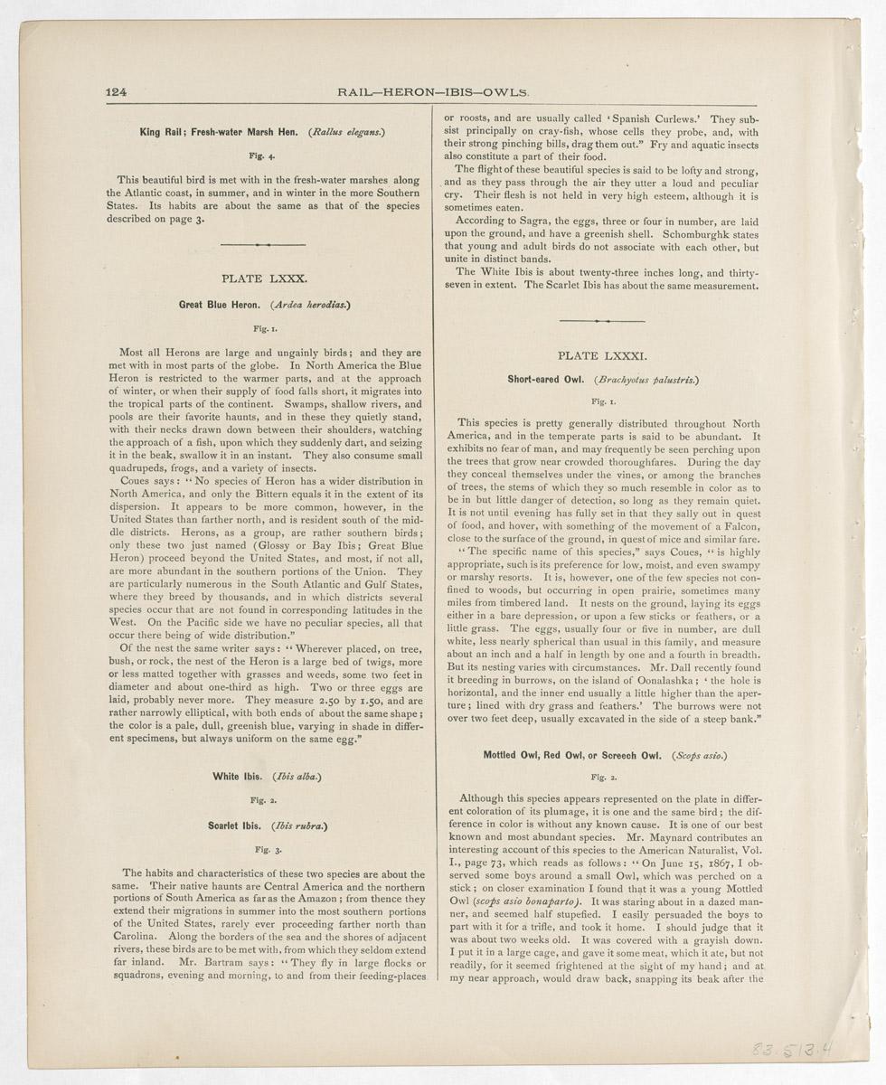 1983.0513.004 Print, reverse