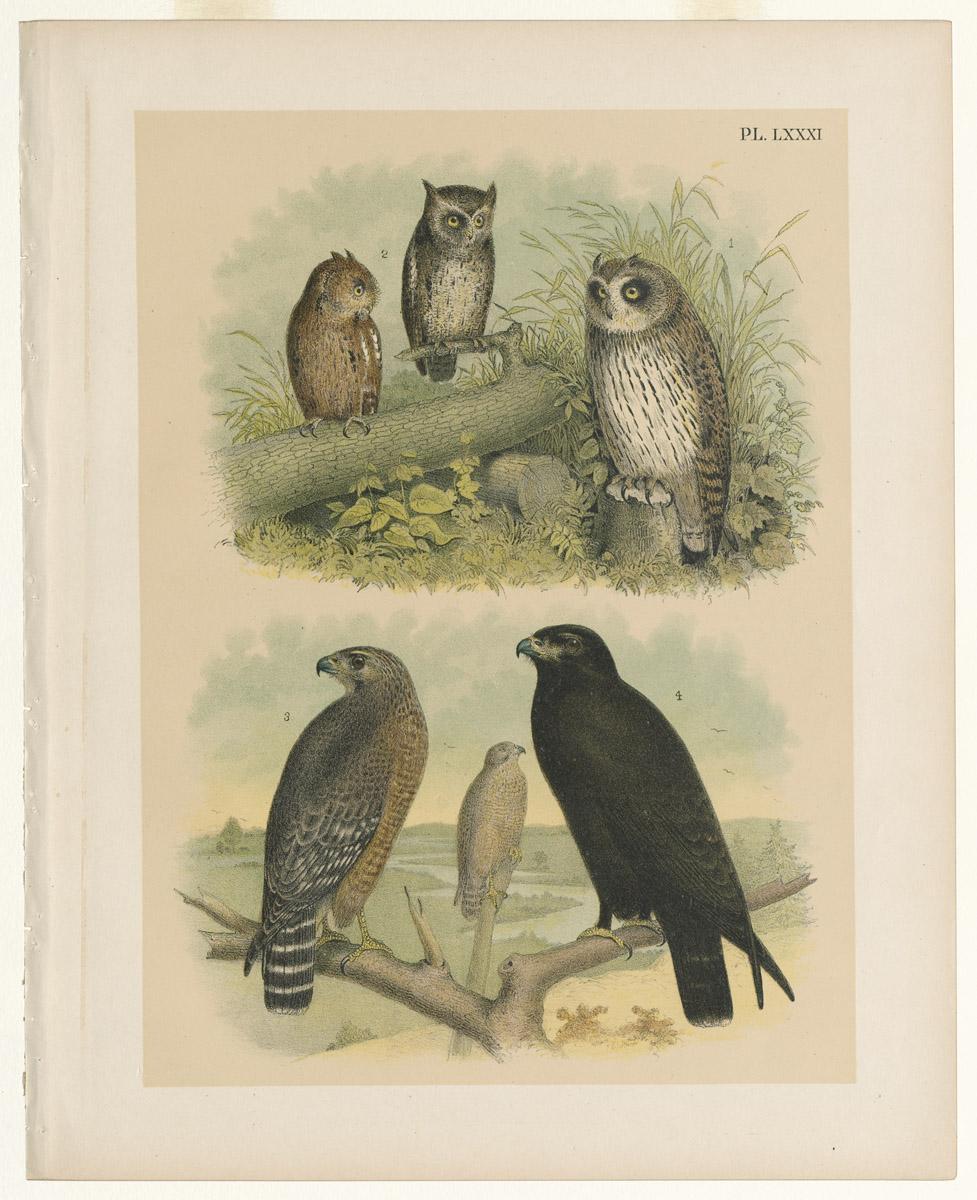 1983.0513.003 Print