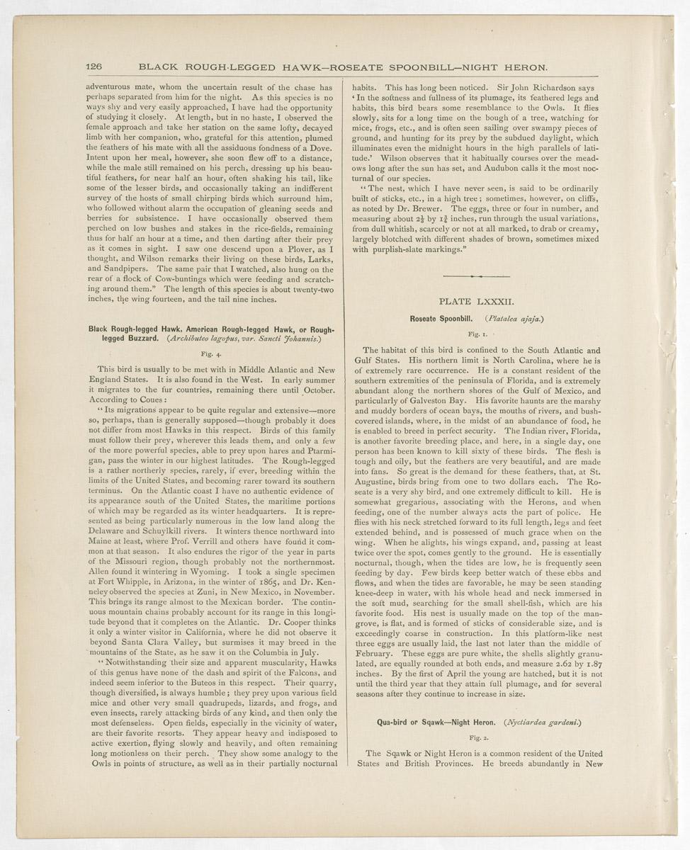 1983.0513.005 Print, reverse