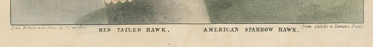 1983.0514 Print, detail 1