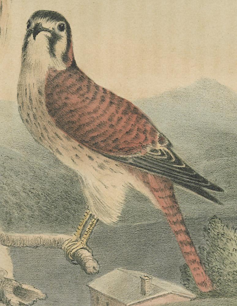 1983.0514 Print, detail 4