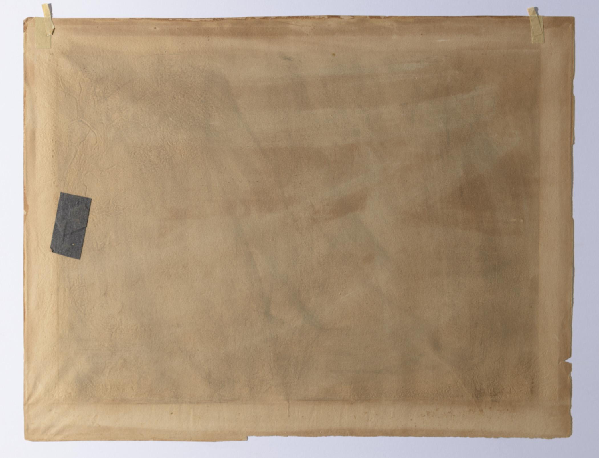 1983.0516 Print, view 4, reverse, raking light