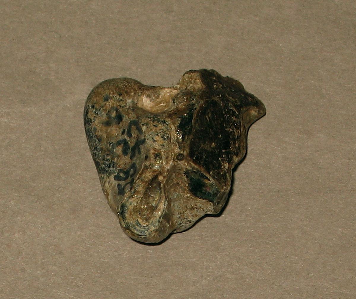 1958.0002.006.072 Frit or cullet fragment