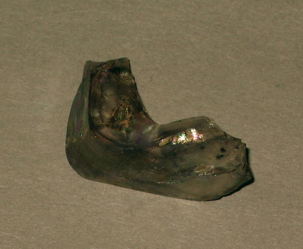 1958.0002.006.082 Glass fragment