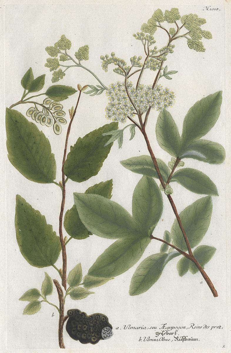 1984.0024.001 Print, View 2