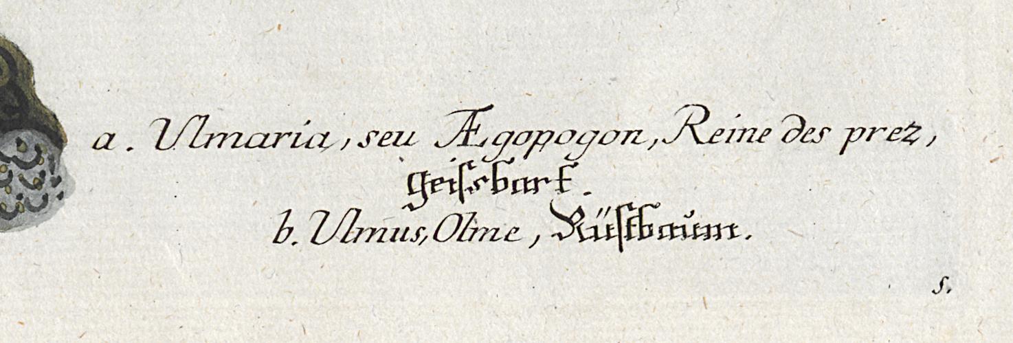 1984.0024.001 Print, Detail 7