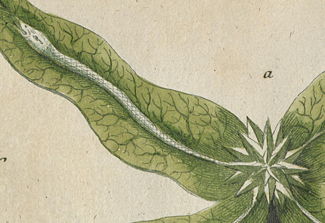 1984.0024.002 Print, Detail 10