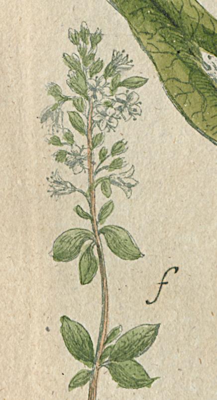 1984.0024.002 Print, Detail 11