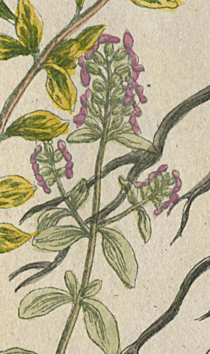 1984.0024.002 Print, Detail 13