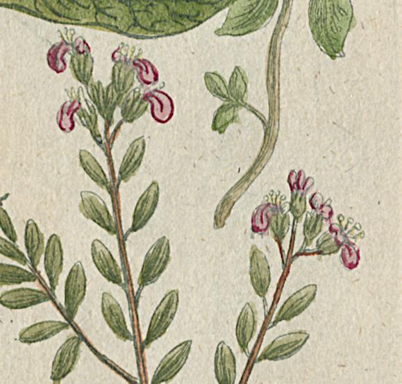 1984.0024.002 Print, Detail 15