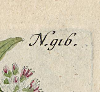 1984.0024.002 Print, Detail 17