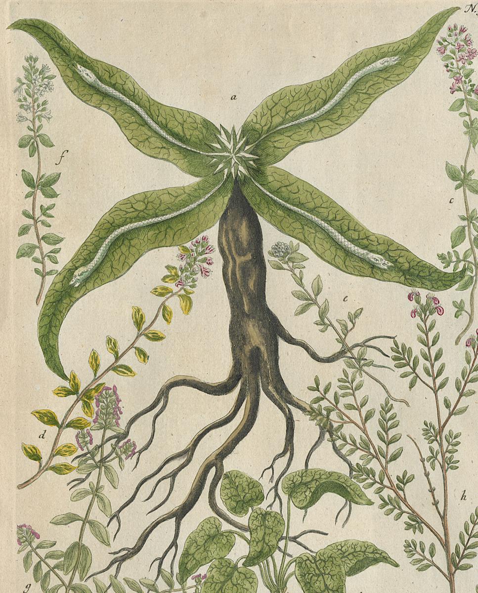 1984.0024.002 Print, Detail