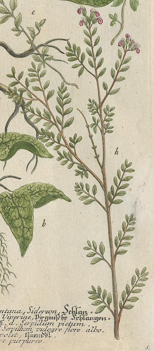 1984.0024.002 Print, Detail 3