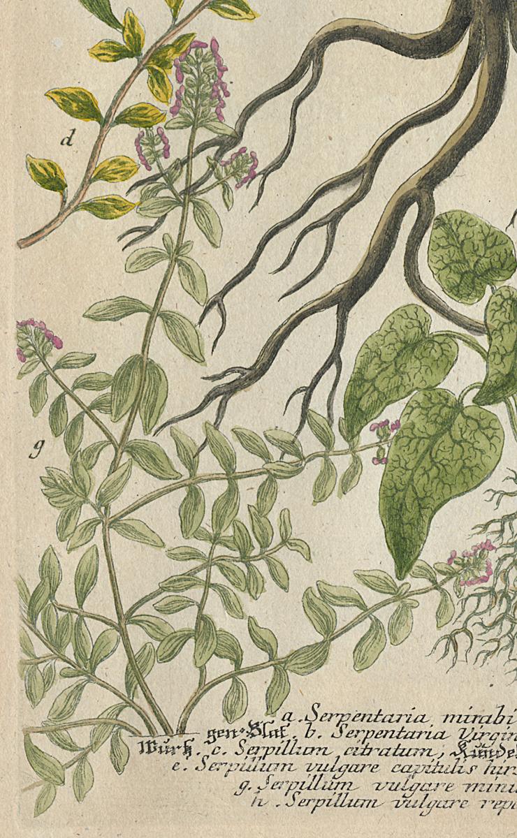 1984.0024.002 Print, Detail 4