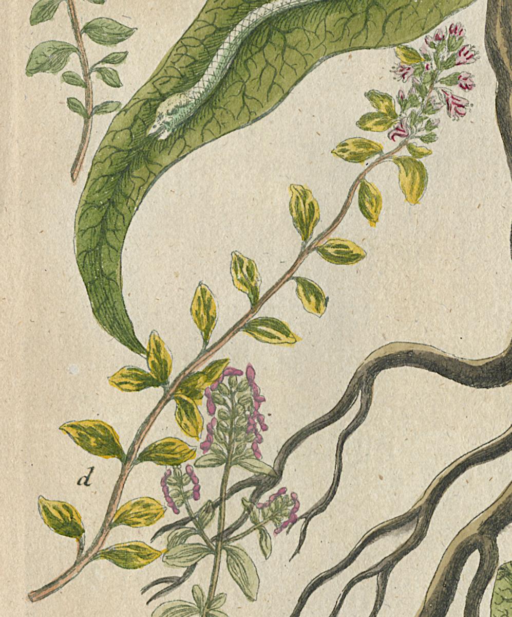 1984.0024.002 Print, Detail 5