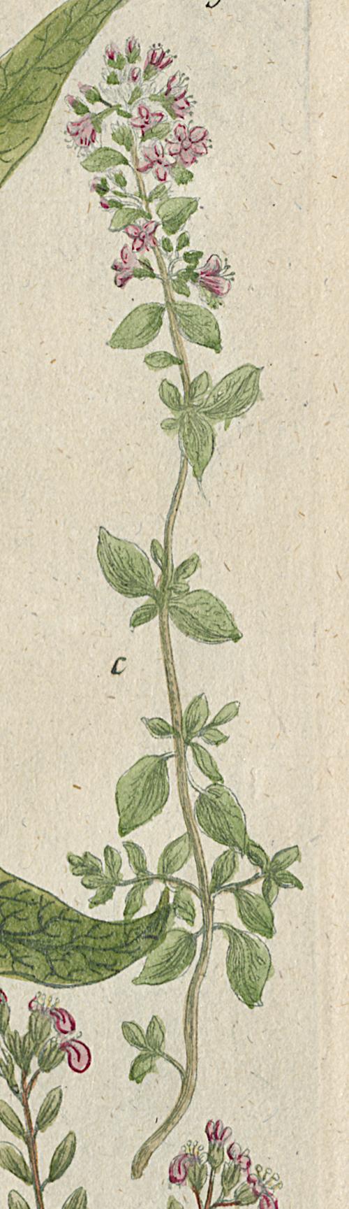 1984.0024.002 Print, Detail 6