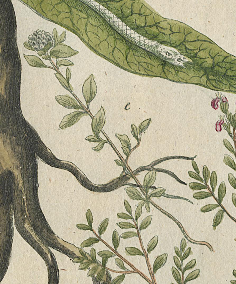 1984.0024.002 Print, Detail 8