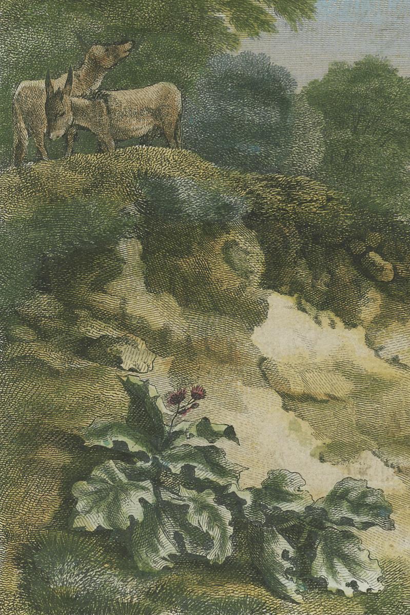1984.0033 Print, detail 3