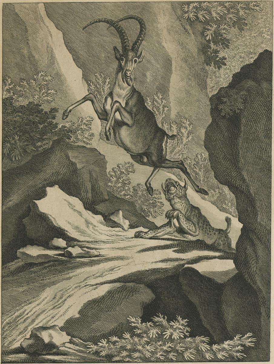 1984.0131 Print, image