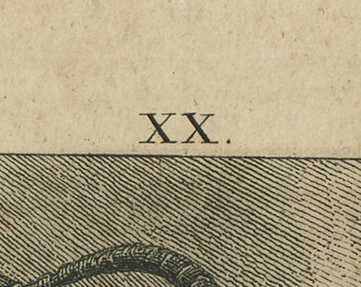 1984.0131 Print, detail 1