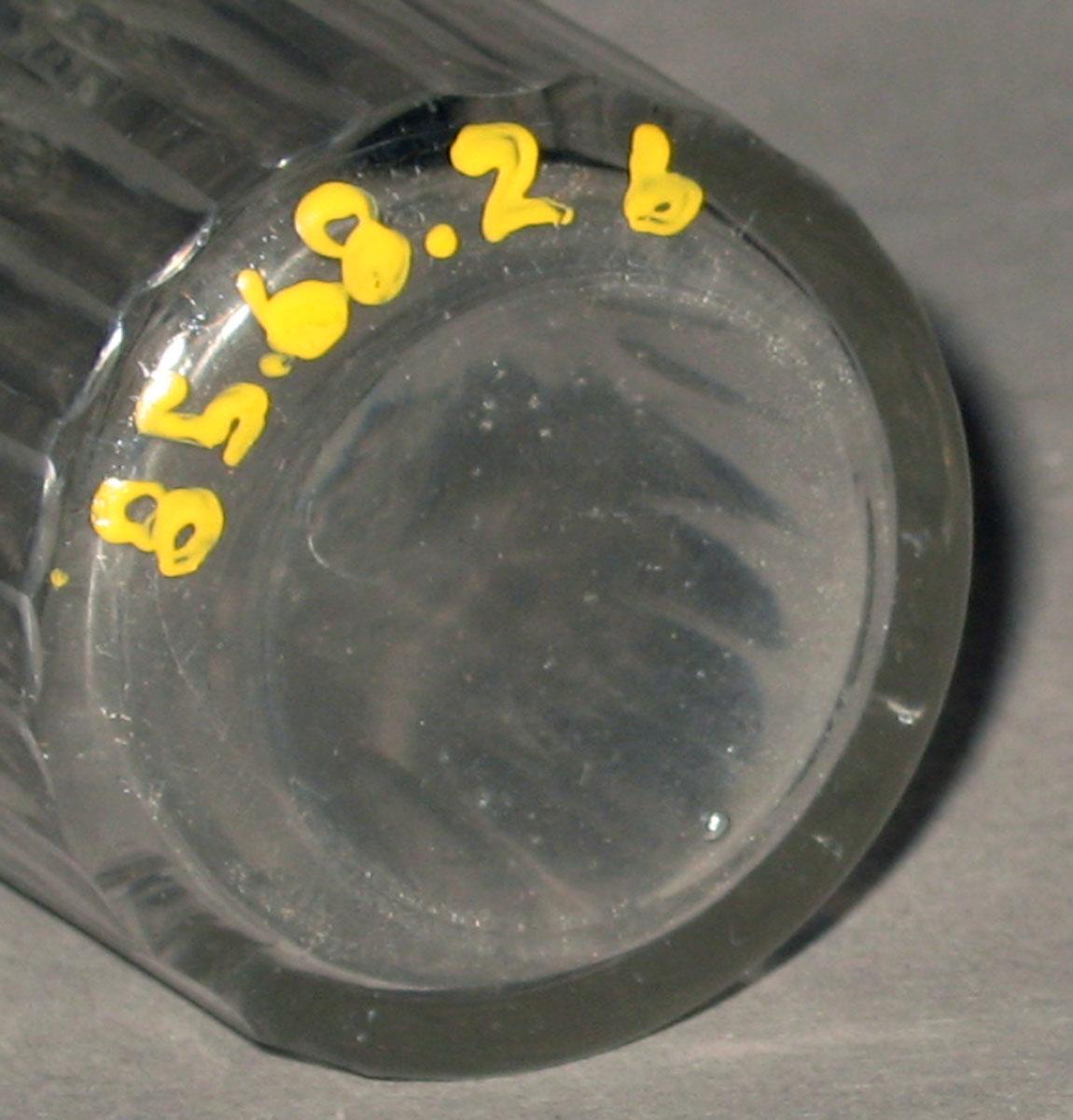 1985.0068.002 B Glass castor (underside)
