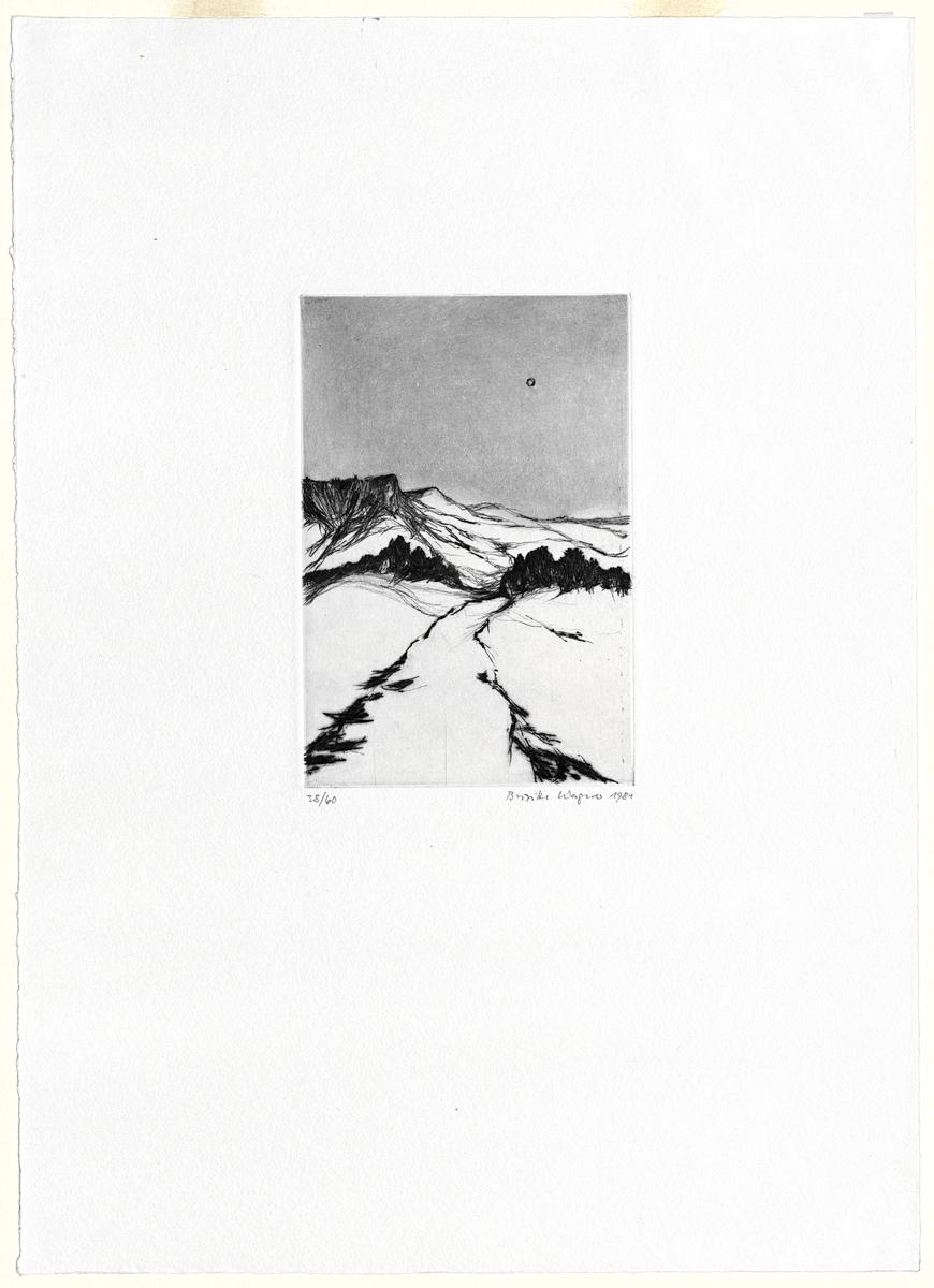 1985.0111 Print
