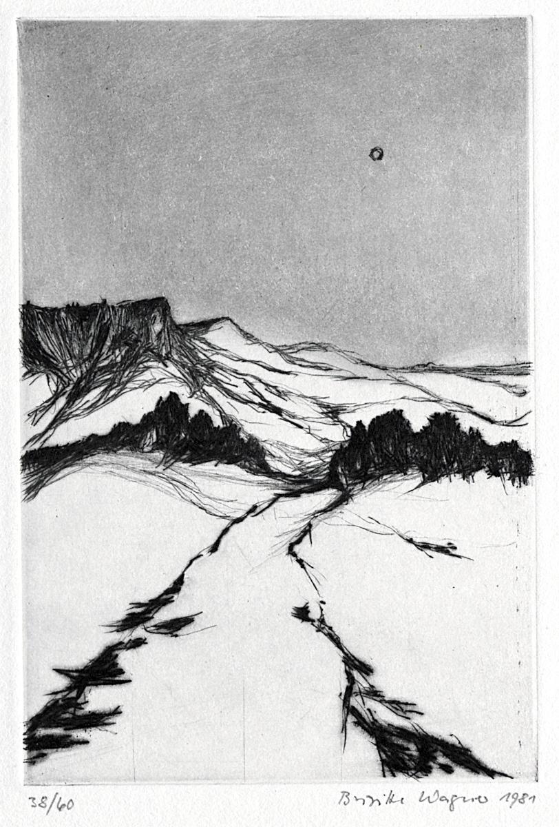 1985.0111 Print, View 2