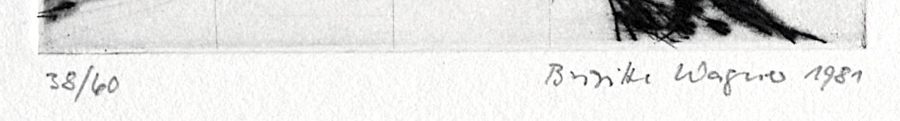 1985.0111 Print, Detail