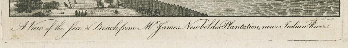 1985.0143 Print, detail 1