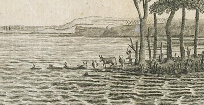 1985.0143 Print, detail 5