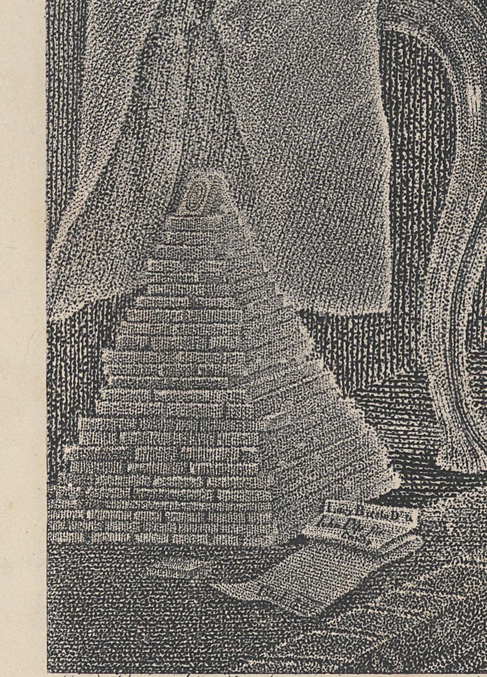 1985.0159 Print, Detail 10