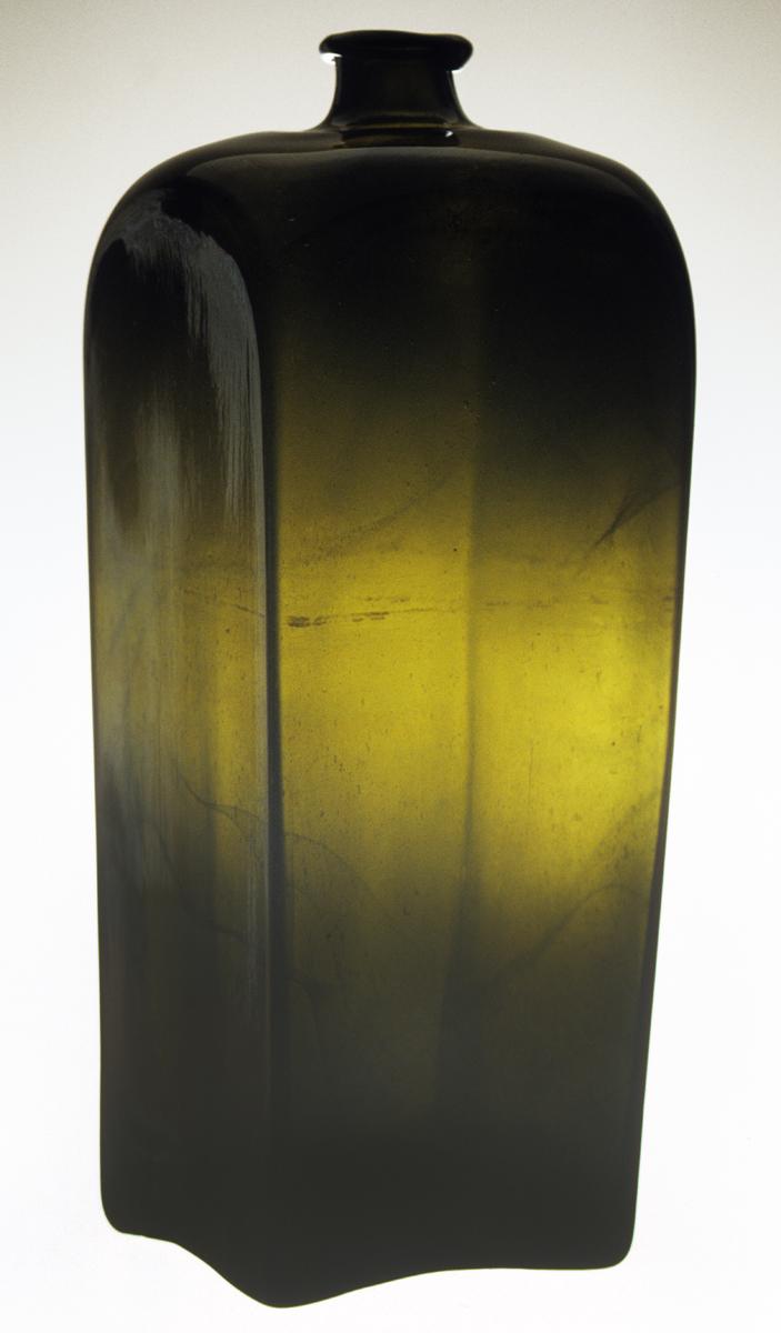 1986.0109 Glass case bottle
