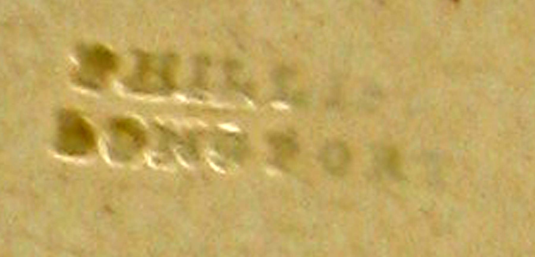 1992.0044 Plate (mark)