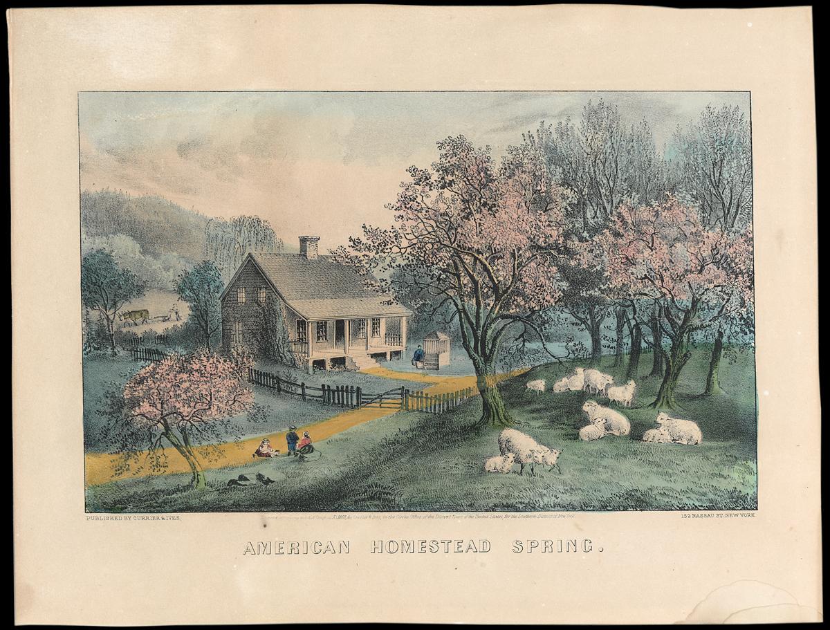 1993.0116 Print