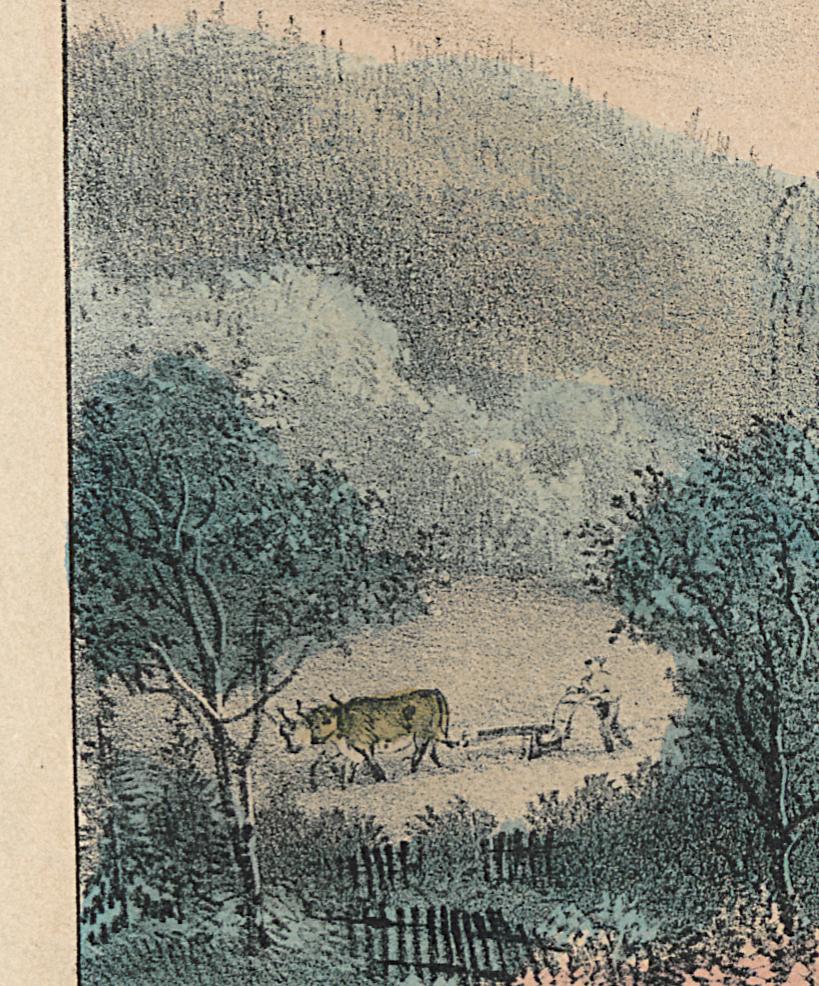 1993.0116 Print, Detail