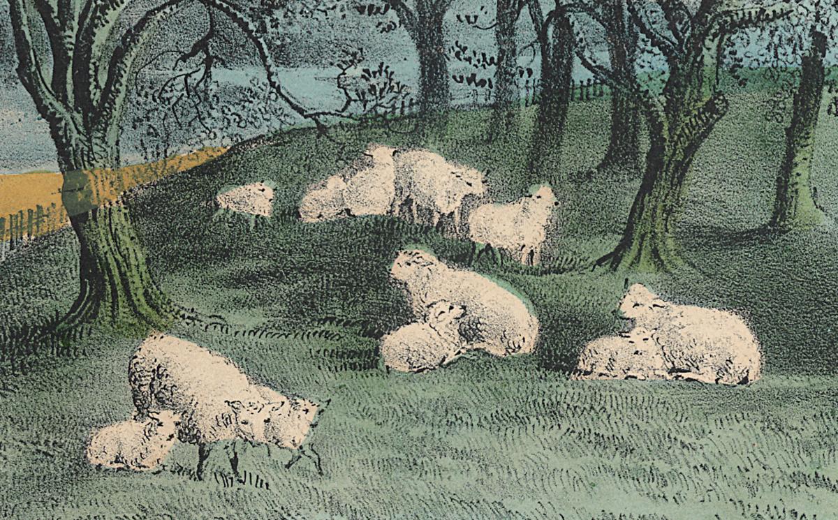 1993.0116 Print, Detail 4