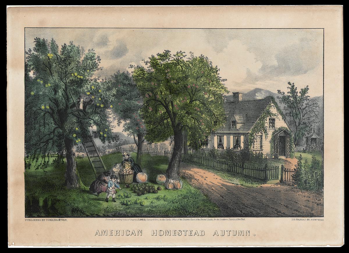 1993.0117 Print
