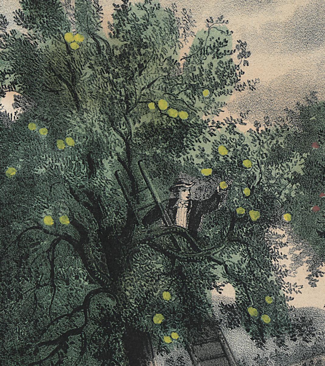1993.0117 Print, Detail
