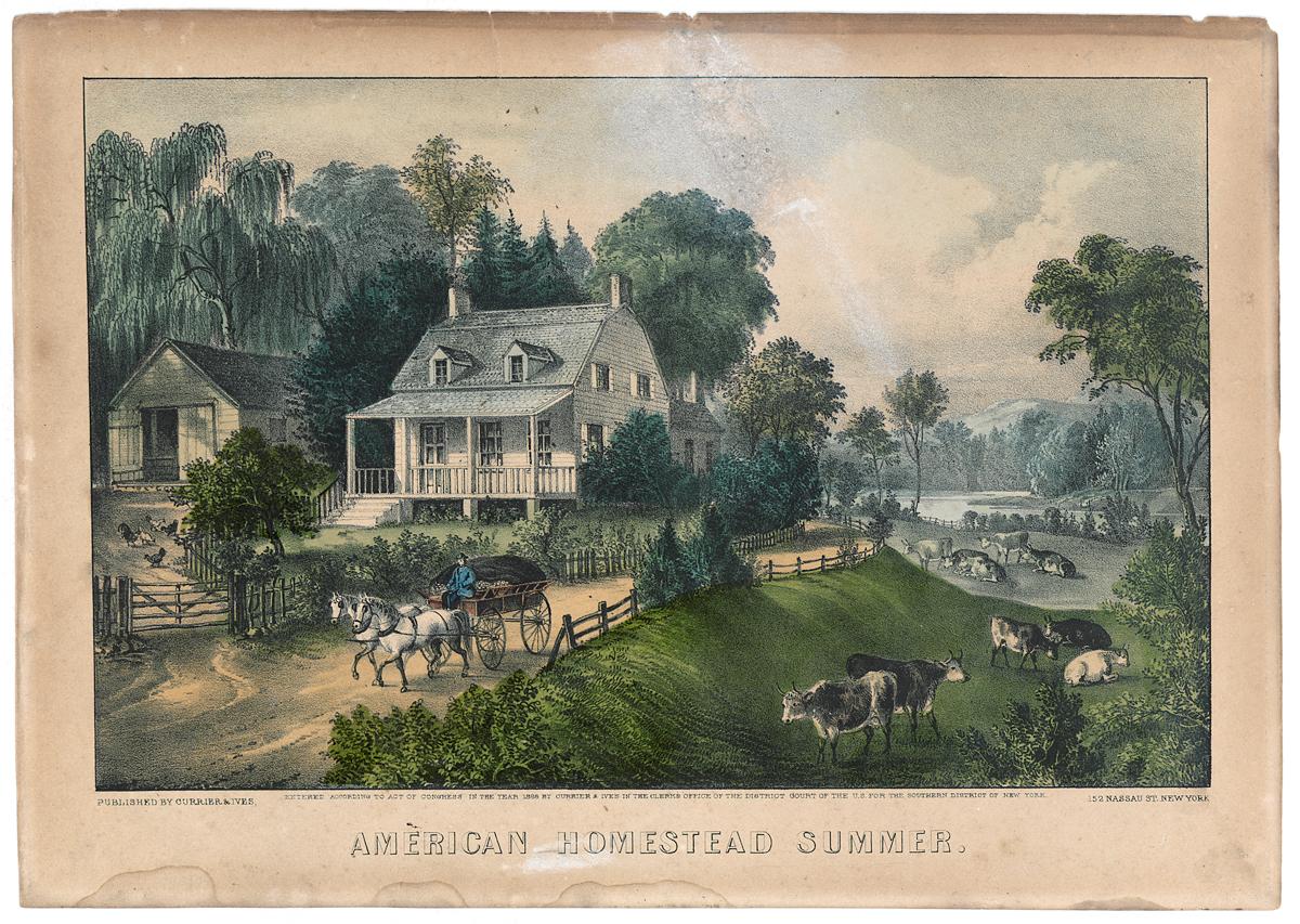 1993.0119 Print