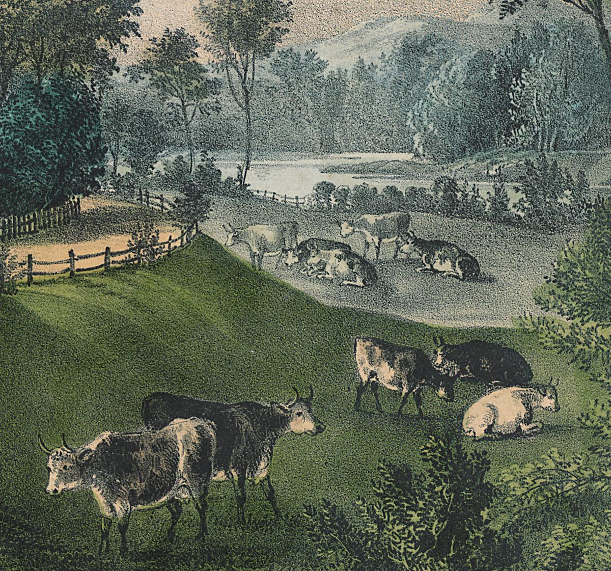 1993.0119 Print, Detail 3
