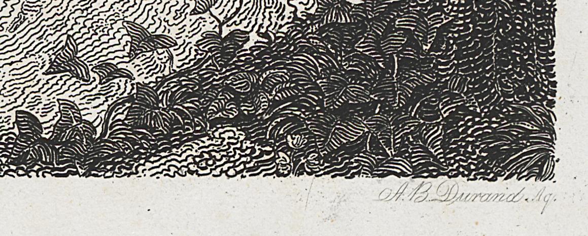 1994.0037.002 Print, Detail 6