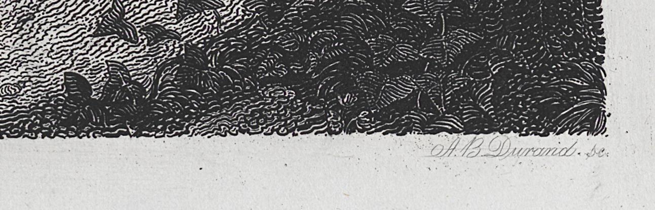 1994.0037.004 Print, Detail 5
