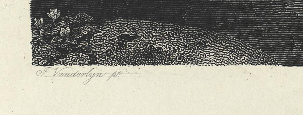 1994.0037.005 Print, Detail 4