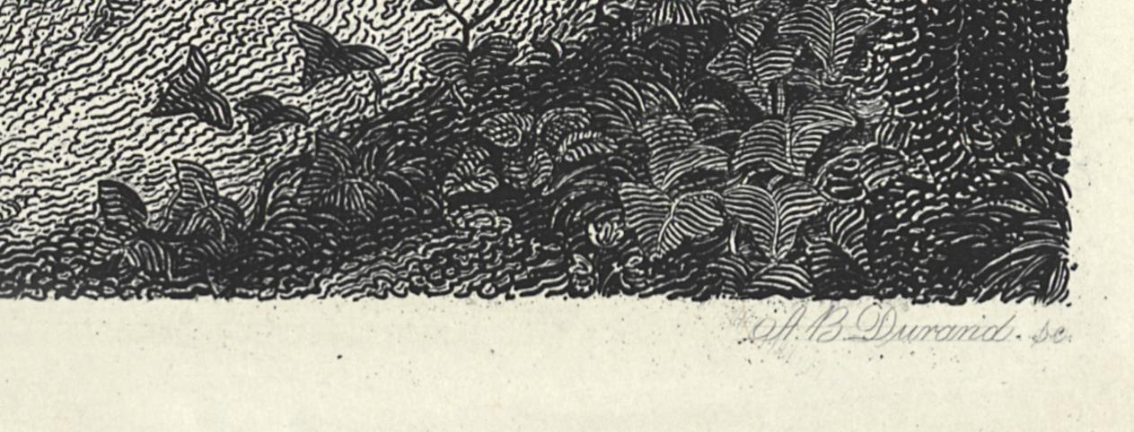 1994.0037.005 Print, Detail 5