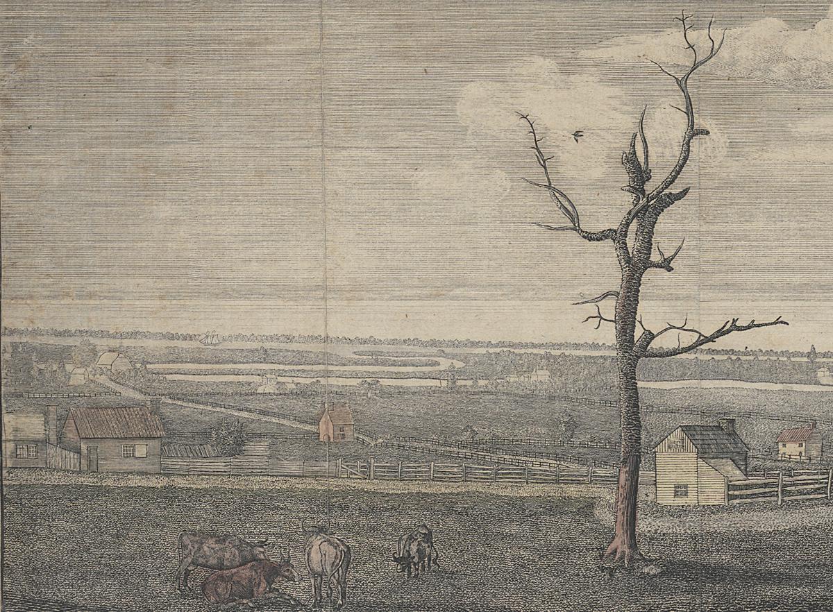 1994.0088 Print, Detail