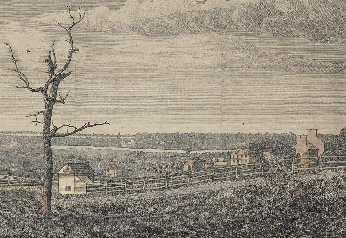 1994.0088 Print, Detail 2